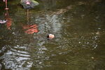 DSC_9166.JPG
